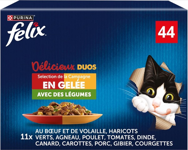 Nourrir un chat adulte difficile : pâtée Felix en gelée 44 sachets, nouveauté Amazon